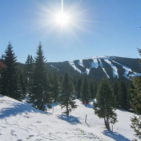 In Den Alpen Mit Sauna 度假居 Weinebene