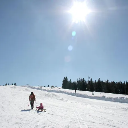 In Den Alpen Mit Sauna 度假居