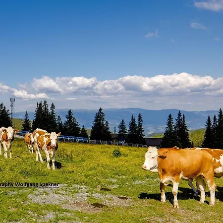 بيت للعطل In Den Alpen Mit Sauna *