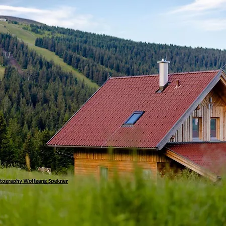 In Den Alpen Mit Sauna Weinebene