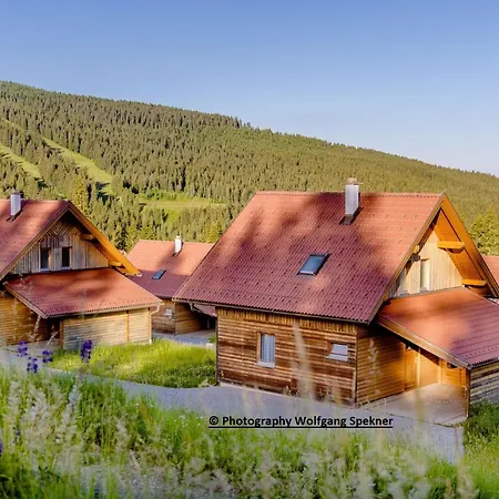 In Den Alpen Mit Sauna * Weinebene
