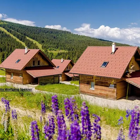 In Den Alpen Mit Sauna
