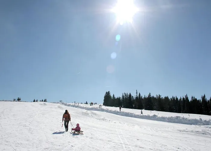 In Den Alpen Mit Sauna Holiday home