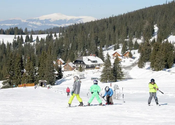 In Den Alpen Mit Sauna * Weinebene