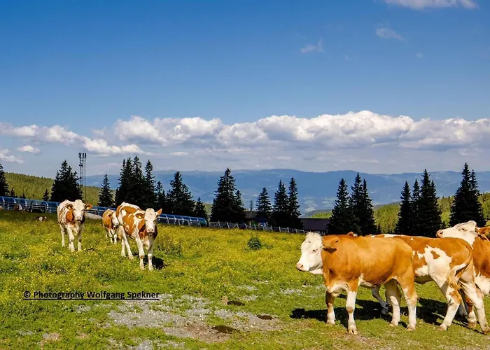 Holiday home In Den Alpen Mit Sauna *