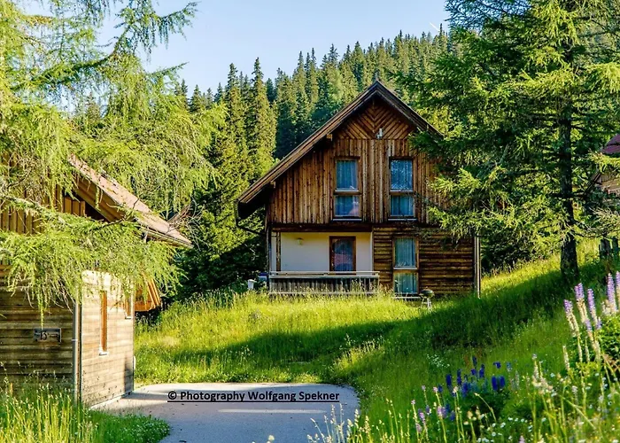 Holiday home In Den Alpen Mit Sauna Weinebene